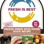 Fresh Is Best - Freeze Dried Raw Dog Food - Duck, 8 Ounces