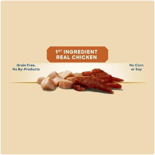 Golden Rewards Chicken Flavor Premium Dry Jerky Treats for All Dogs, 16 oz