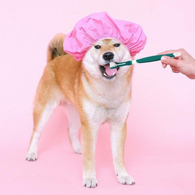 Dog Toothbrush, Triple Headed Toothbrush Dog Toothbrush for Pet Dental Care Health Supplies