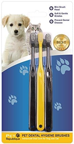 Mini Toothbrush for Cats and Dogs - Cat Toothbrush, Small Dog Toothbrush - Designed for Cat, Kitten, Puppy, and Small Dog Like Chihuahuas, Yorkshire, and Poodle (3 or 6 Count) (3)