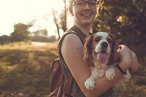 K9 Immunity Plus - Potent Immune Booster for Dogs Under 30 lbs - Certified Organic – Mushroom Enhanced Supplement - Veterinarian Recommended Dog Health Supplement - 30 Chews 2 Pack