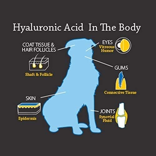 Dog Joint Supplement, Hyalogic Hyaluronic Acid Joint Supplement for Dogs, HyaFlex - 30-60 Day Supply, 1oz HA Canine Joint Support, Cartilage Supplement & Dog Coat Supplement, W/ No Fuss Liquid Dropper