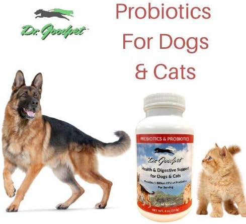 Probiotics w/prebiotics - Billions of High-Potency CFU's - Superior Digestive Support