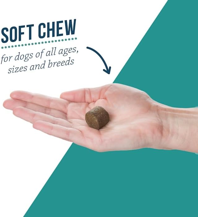 Elanco Alenza Soft Chews Aging Support for Dogs, 60 Count