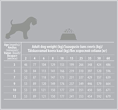 Nature's Protection Superior Care White Dogs Grain-Free Dry Dog Food for Junior Light Coated Dogs, Salmon, 3.3 lbs.