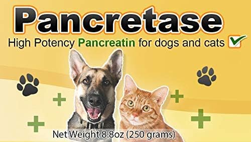 | Pancretase Digestive Enzymes | 10x Pancreatin | Pancreatin for Dogs and Cats | Pancreatic Enzyme | Great for Pets with EPI