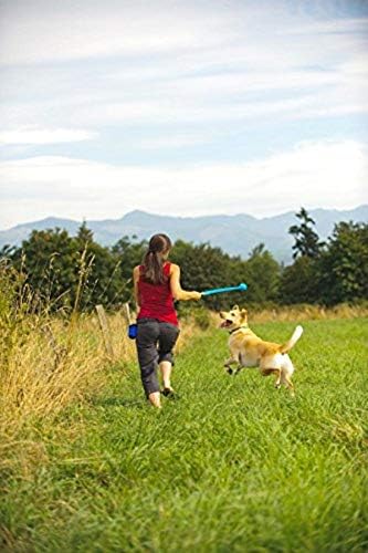 Chuckit! The Whistler Ball Dog Toy, Medium (2.5 Inch Diameter) for Dogs 20-60 lbs, Pack of 2, Multicolor
