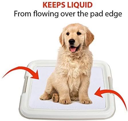 PAWISE Dog Training Pad Holder Tray, Indoor Puppy Potty Pee Pad Floor Tray, 24''X24', Large