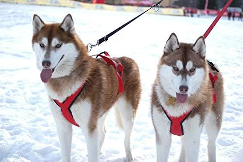 Neewa Sled Pro Harness (Small, Red), Dog Pulling Harness, Husky Harness, Mushing Harness, X Back Harness Dog for Dog Exercise, Bikejoring, Skijoring, Dog Sledding, Canicross, Dog Harness