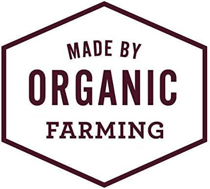 Hemp Well Hemp Relief Dog Soft Chews – Supports Joint Health in Dogs and Relieves Pain and Inflammation from Everyday Activities, Organically Sourced (2 Pack)