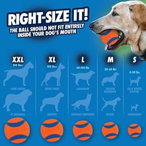 Chuckit Dog Tennis Ball Dog Toy, Small (2 Inch Diameter) for dogs 0-20 lbs, Pack of 2