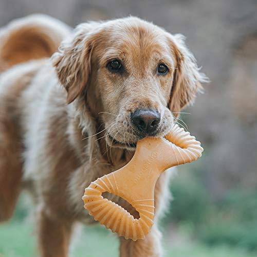 Benebone Dental Durable Dog Chew Toy for Aggressive Chewers, Real Peanut, Made in USA, Large