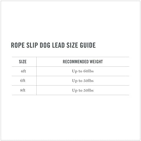 Martha Stewart Braided Rope & Leather Slip Lead for Dogs, Grey, 4'