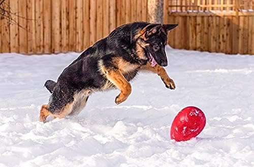 Jolly Pets Jolly Egg Dog Toy, 12 Inches/Large, Red