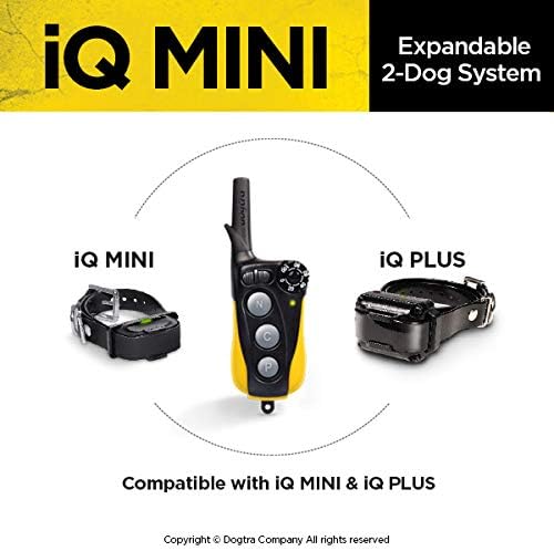 Dogtra IQ Mini 2-Dogs Remote Dog Training System for Smaller Dogs - 400 Yard Range Collar, Rechargeable Remote Trainer, Waterproof, Static, Vibration Pager Training with PetsTEK Dog Training