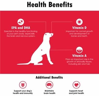 Omega-Caps Extra Strength for Large Breeds-Vet Formulated for Healthy Radiant Skin & Coat While Reducing Shedding. Contains Omega 3 for Immune System Support, Easy to Dose, 1000 Soft Gel Capsules