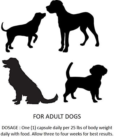 Essential Pet Probiotics with Direct-fed Microorganisms for Digestive Support in Dogs