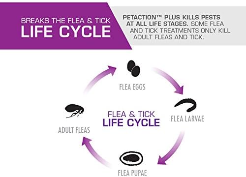 Pet Action Plus Flea & Tick Treatment for Large Dogs, 45-88 lbs, 3 Month Supply