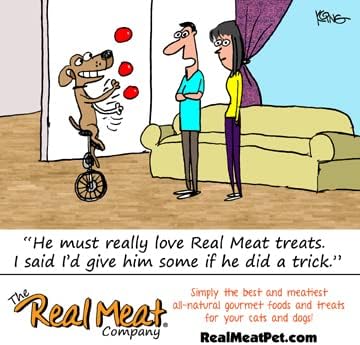 Real Meat, Air-Dried Jerky Treats, Free-Range, All-Natural Chicken Venison Cat Treat 3oz