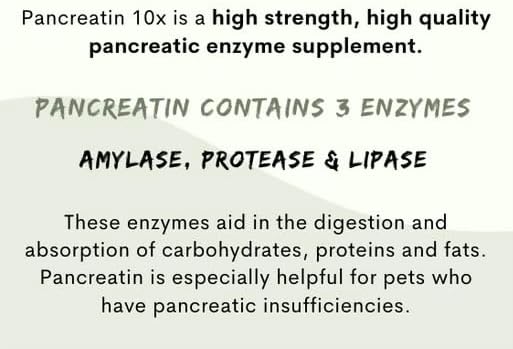 Pancreatin 10X - Pancreatic enzymes for Dogs and Cats (Made in USA) High Strength | Low Odor |10oz (285g)