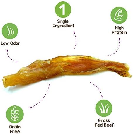 Nature Gnaws Mixed Beef Tendons & Paddywack for Dogs - Premium Natural Beef Dental Bones - Long Lasting Tasty Dog Chew Treats - Puppy Training Reward