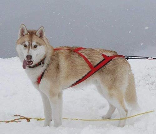 Neewa Sled Pro Harness (Small, Red), Dog Pulling Harness, Husky Harness, Mushing Harness, X Back Harness Dog for Dog Exercise, Bikejoring, Skijoring, Dog Sledding, Canicross, Dog Harness
