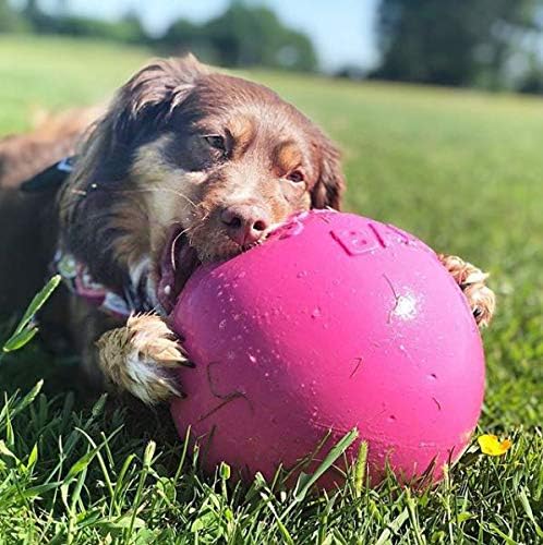Jolly Pets Bounce-n-Play Dog Toy Ball, 8 Inches, Pink, All Breed Sizes