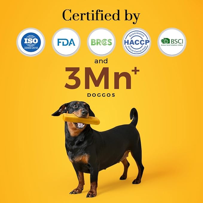 Dogsee Turmeric Flavor Himalayan Yak Milk Dental Chews for Dogs Bulk Pack 3lb (Large - 12 Chews) | Anti-inflammatory | Tasty & Healthy Treats | Premium Yak Chews for Dogs