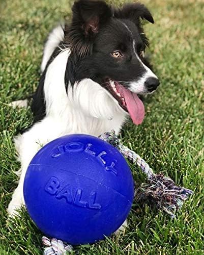 Jolly Pets Romp-n-Roll Rope and Ball Dog Toy, 8 Inches/Large, Blue, Model:608 BL
