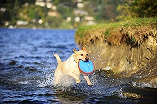 Chuckit! Fetch Medley Dog Ball Dog Toys, Medium (2.5 Inch) Pack of 3, for Medium Breeds & Paraflight Flying Disc Dog Toy, Large (9.75"), Orange and Blue