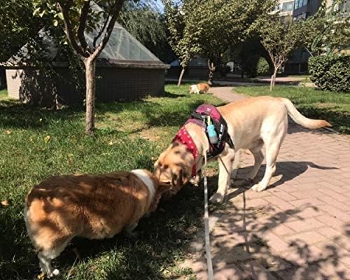 Dog Poop Bag Dispenser with Flashlight|Dog Poop Bag Holder with Leash Clip|Hands-Free Leash Poop Bag Holder with Straps and 1 Roll Dog Waste Bags (Crystal Blue)