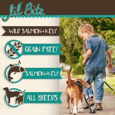 Lil' Bitz training Treats for Dogs and Cats (3 Pack, All Dog Sizes - Wild Salmon + Kelp)
