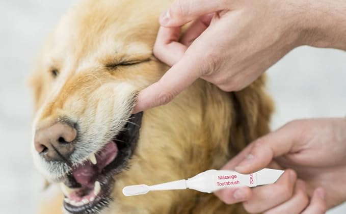 Pssopp Pet Electric Toothbrush Dog Cat Teeth Cleaning Tool Professional Electric Dog Toothbrush with Two Soft Brush Head