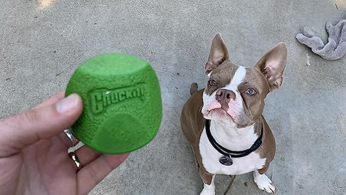 Chuckit Fetch Medley Dog Ball Dog Toys, Medium (2.5 Inch) Pack of 3, for Medium Breeds, Includes Erratic, Strato and Ultra Squeaker Balls