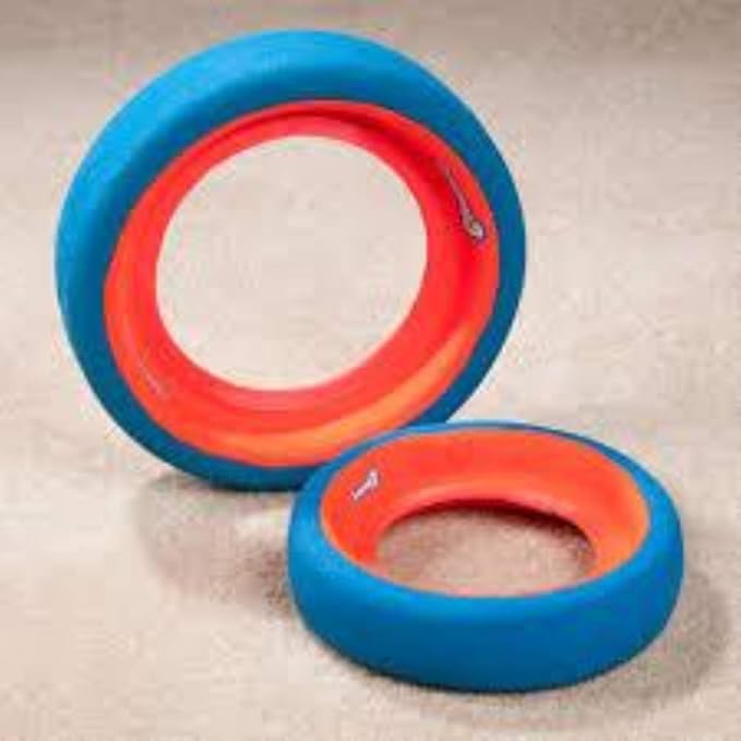 Chuckit Fetch Wheel Outdoor Dog Toy, Small, For Small Breeds