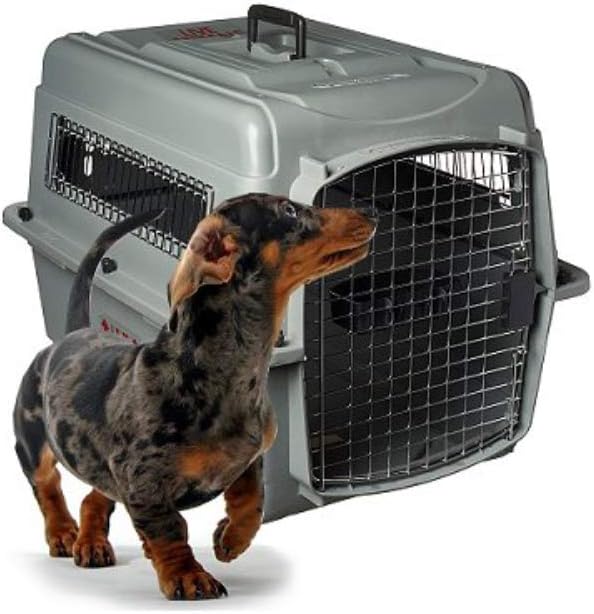Petmate Sky Kennel Pet Carrier, 21 Inch & 290300 Kennel Travel Kit for Pets