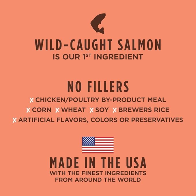 Real Salmon & Brown Rice Recipe Natural Dry Dog Food, 24 lb. Bag