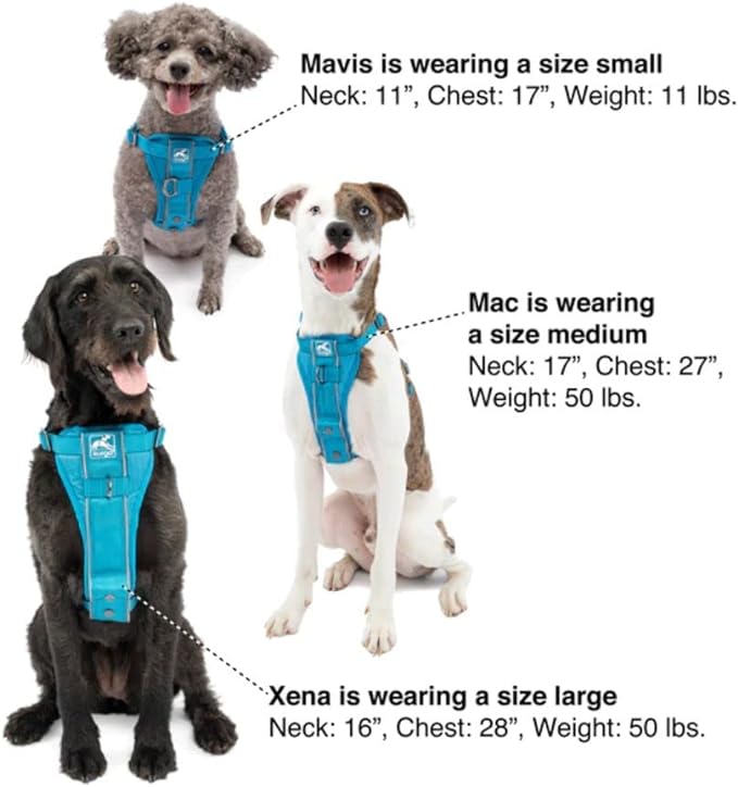 Kurgo Tru-Fit Smart Harness, Dog Harness, Pet Walking Harness, Quick Release Buckles, Front D-Ring for No Pull Training, includes Dog Seat Belt Tether (Black, Medium)