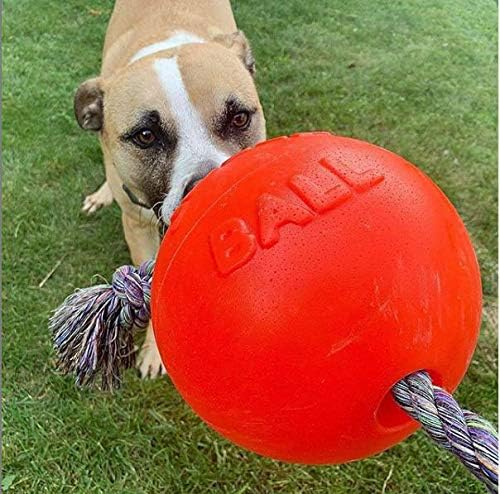 Jolly Pets Romp-n-Roll Rope and Ball Dog Toy, 8 Inches/Large, Orange