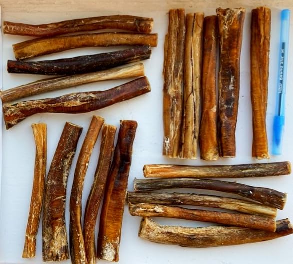 Bully Sticks for Dogs (6 inch Pack of 20) | Long Lasting Natural Dog Chew | Single Ingredient 100% Beef Pizzle | Packed in The USA | Standard Thickness