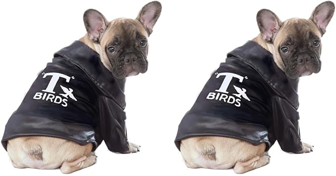 Rubie's Grease Pet T-Birds Costume Jacket, X-Large (580674LXL_XL) (Pack of 2)