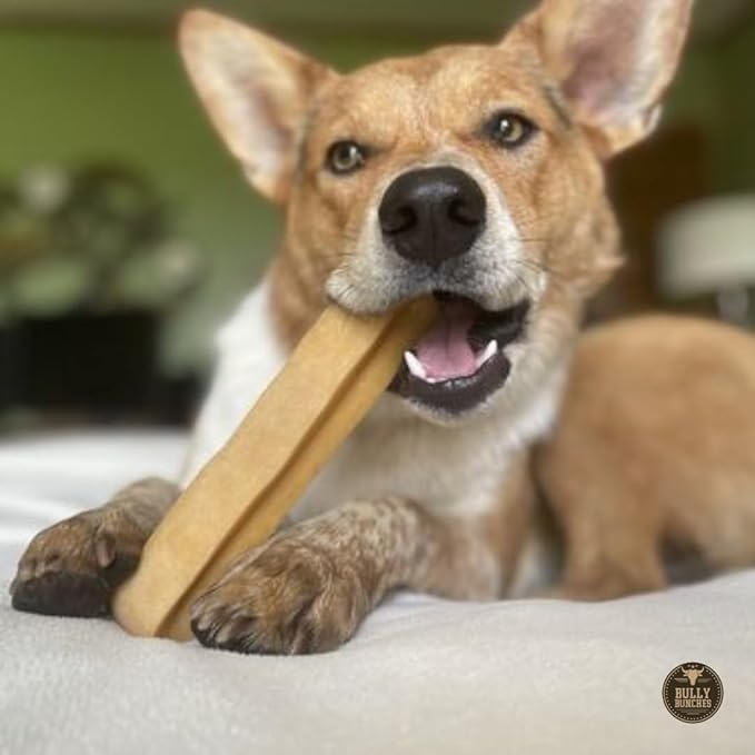 Bully Bunches Extra Large Authentic Yak Cheese Himalayan Chews for Large Dogs & Aggressive Chewers - All Natural Dog Treat Dental Chews, Made with Real Yak Milk - Lactose & Rawhide Free (2 PK)