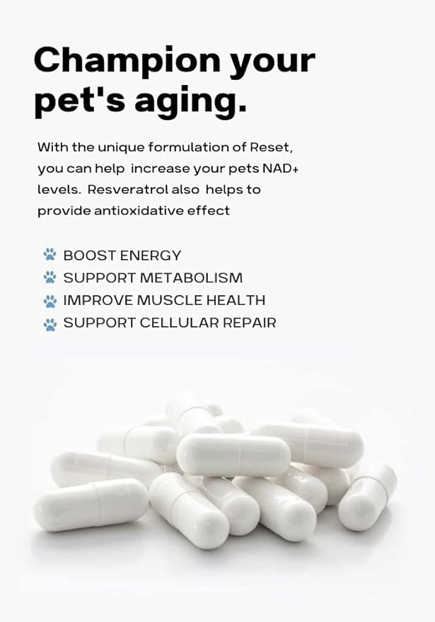 Reset NAD+ Booster for Dogs and Cats - Effective NR and Resveratrol Supplement for Healthy Aging, Cellular Repair, Increased Energy, and Metabolic Support- 60 Capsules
