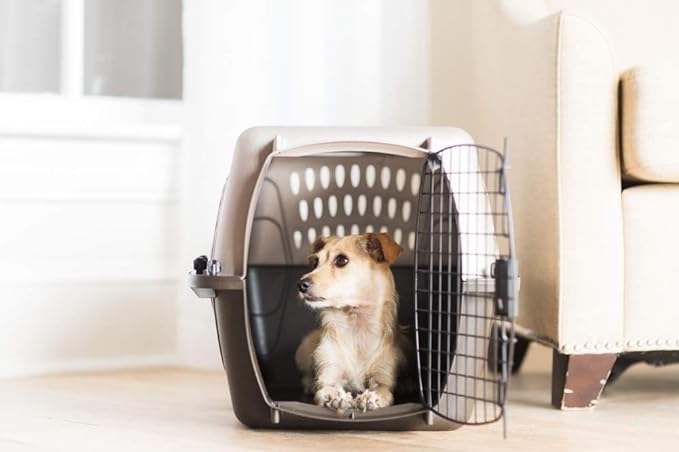 Petmate Two-Door Small Dog & Cat Carrier for Pets Up to 10 Pounds with SnooZZy Sheepskin Bolster Crate Mat for 19' Crates, Up to 15 lbs