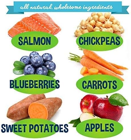Premium Healthy Dog Jerky Treats | Grain Free Salmon Dog Treat Bites | Natural Snack Made with Salmon, Chickpeas & Sweet Potatoes | No Corn, Wheat or Soy