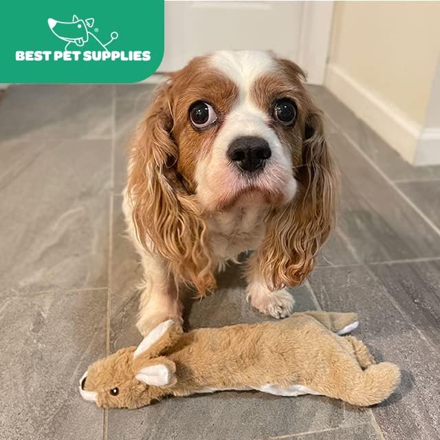 Best Pet Supplies Stuffing Free Squeaky Dog Toys for Small Dogs, Medium Dogs, and Large Dogs, Durable, Best Dog Chew Toy for Teething Puppy, Indoor Play, Holds Plastic Bottle - Hare, Medium
