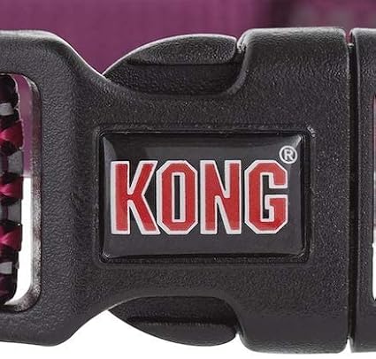 KONG Comfort Neoprene Padded Dog Collar offered by Barker Brands Inc. (XL, Green)