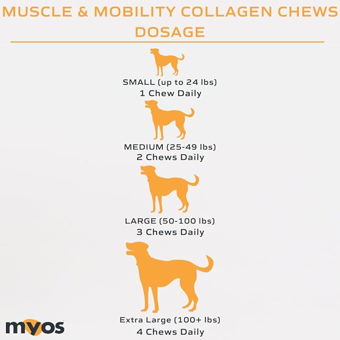 MYOS Canine Muscle & Mobility Chews – Natural Collagen & Glucosamine for Dogs - Bacon Flavor Joint Supplement for Muscle, Bone & Joint Support, 60 Count