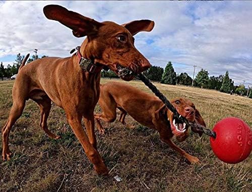 Jolly Pets Romp-n-Roll Rope and Ball Dog Toy, 8 Inches/Large, Red (608 RD)