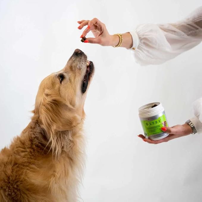 GLYDE Mobility Chews for Dogs | 60 Chews - Natural Supplements for Dog Hip & Joint Care | with New Zealand Green Lipped Mussel, Glucosamine, Chondroitin & Omega-3 | Gluten-Free | Arthritis Treatment